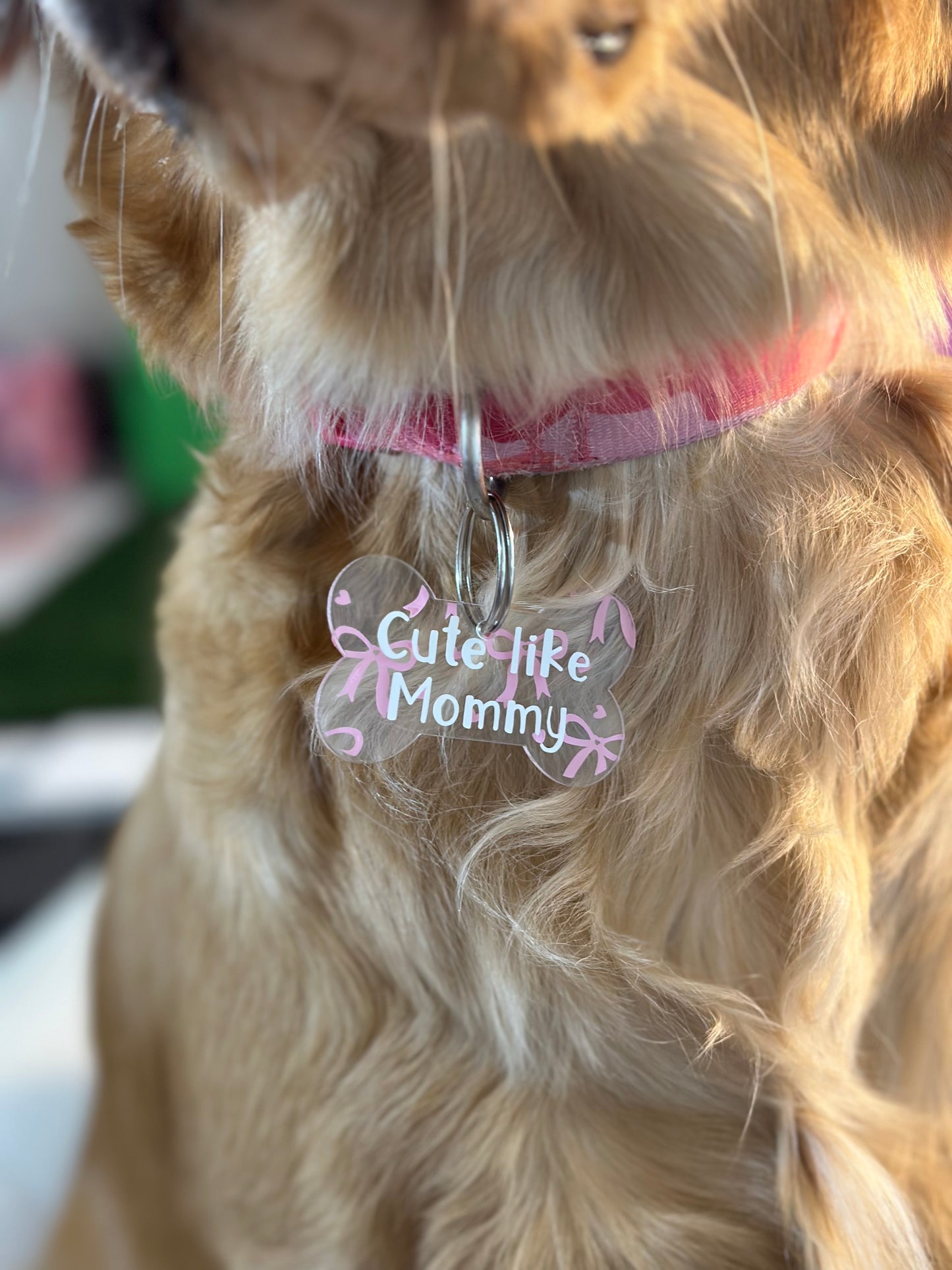 Pink Bow Dog Tag