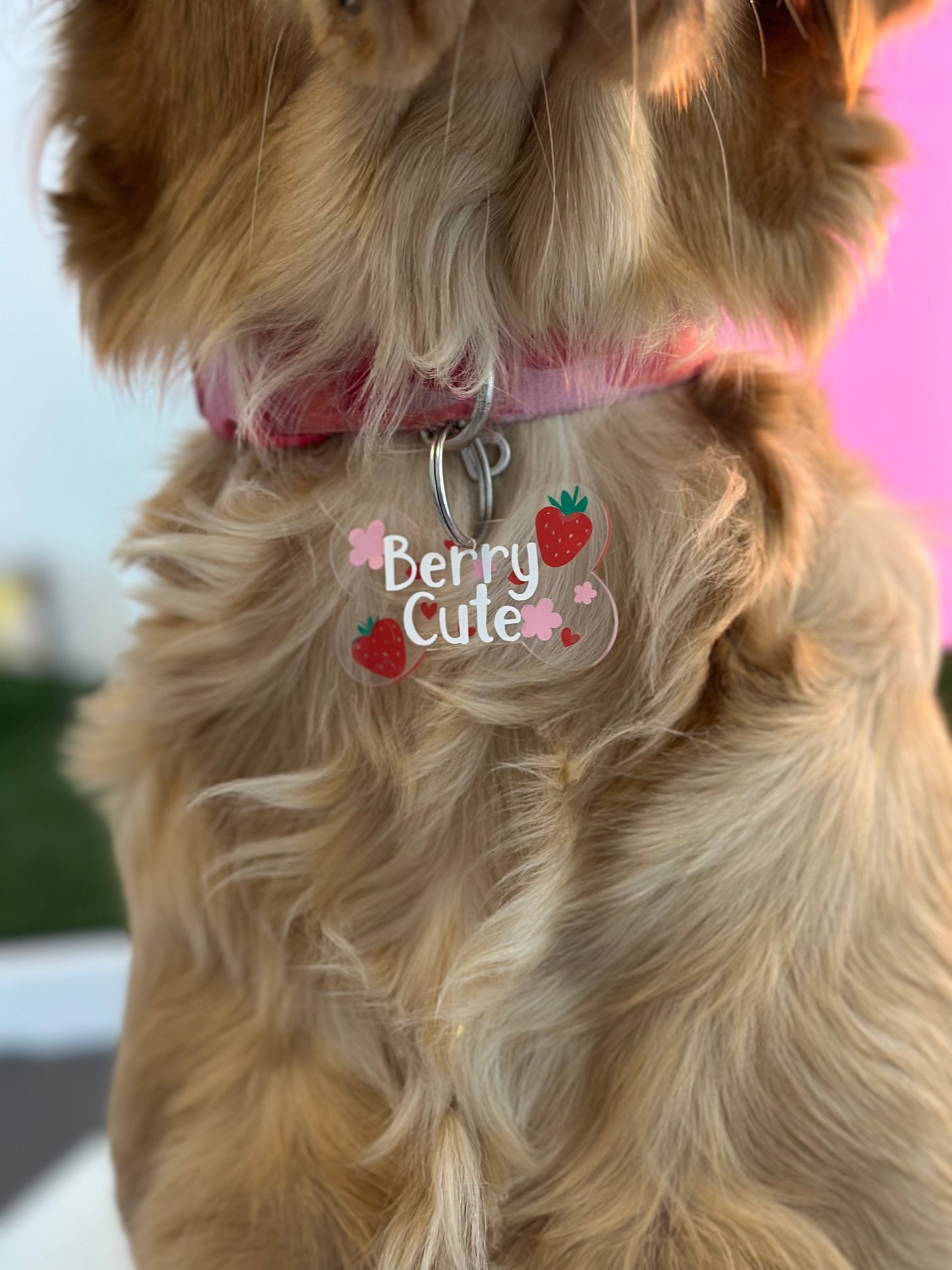 Berry Cute Dog Tag