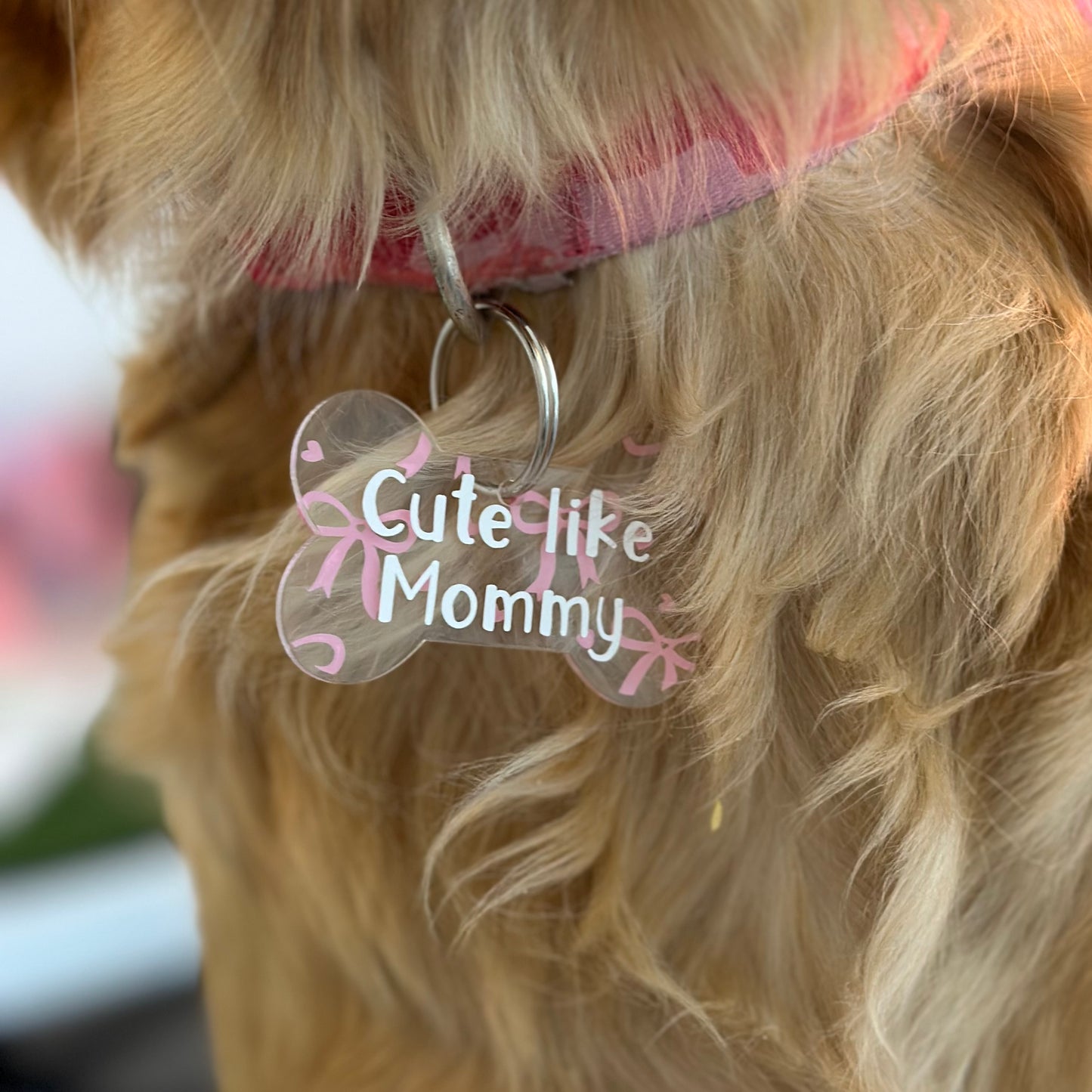 Pink Bow Dog Tag
