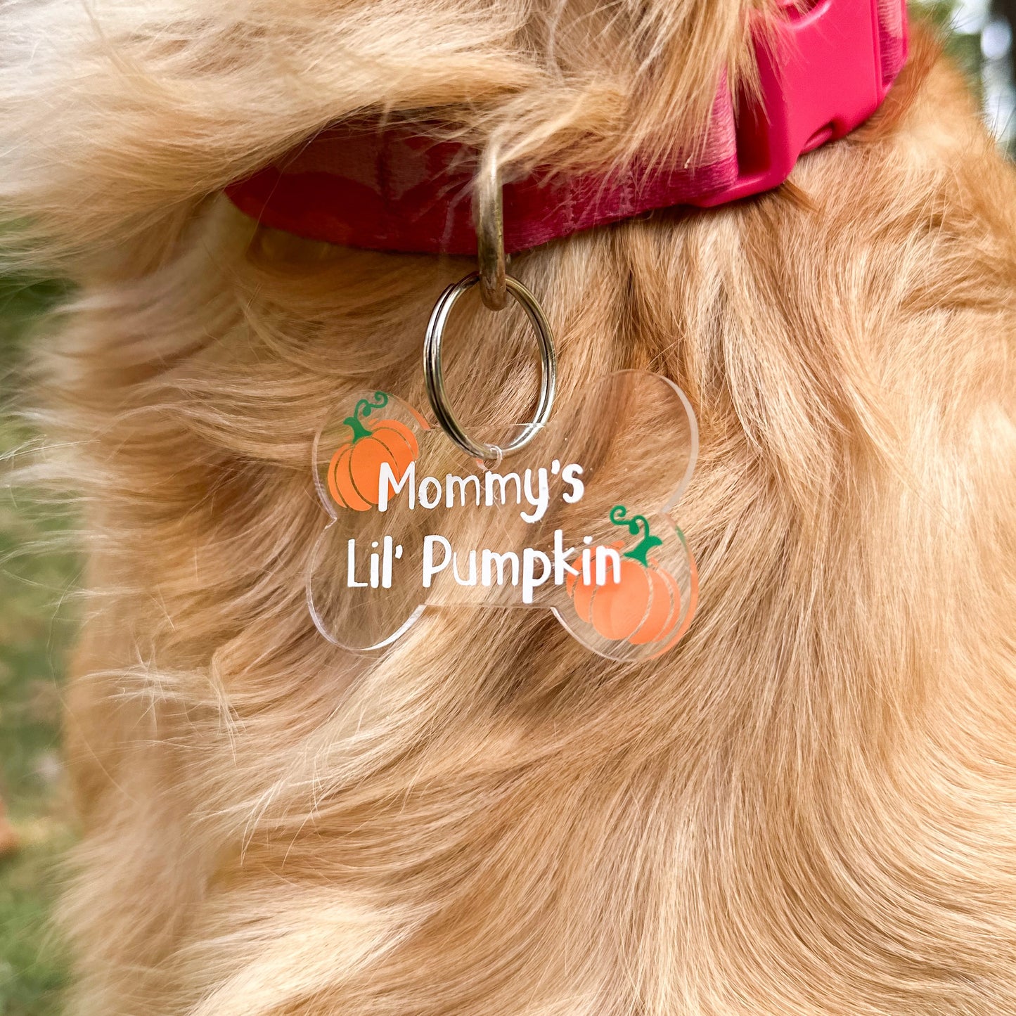 "Mommy's Lil' Pumpkin" Pick of the Patch Dog Tag (Copy)