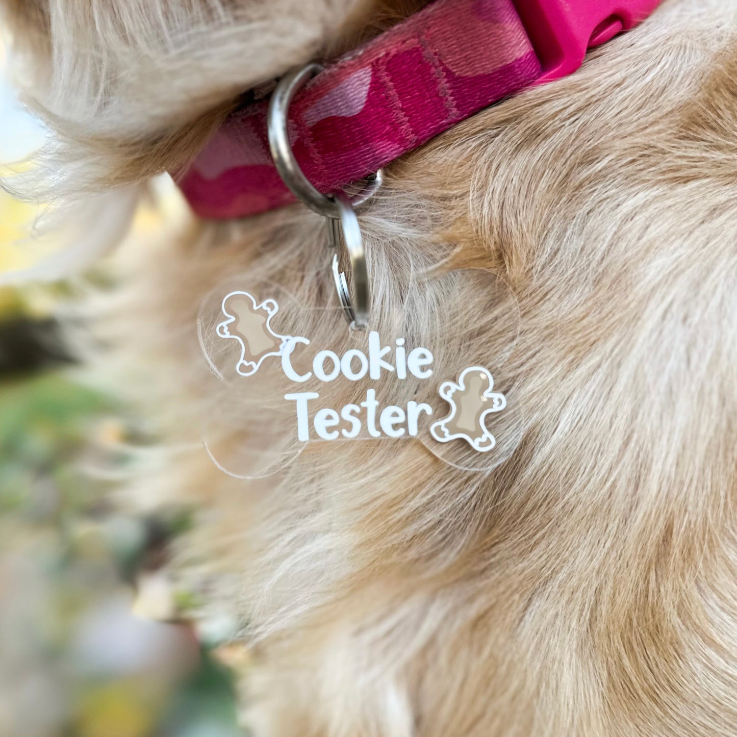 "Cookie Tester" Winter Things Dog Tag