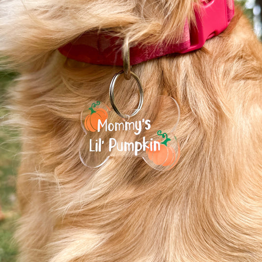 "Mommy's Lil' Pumpkin" Pick of the Patch Dog Tag